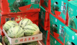 吃瓜最新事件爆料长春,吃瓜群众揭秘最新事件内幕